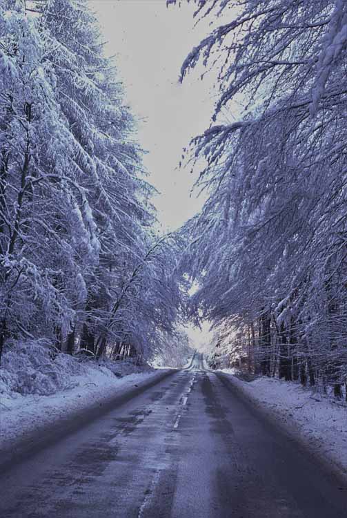 snow scene
